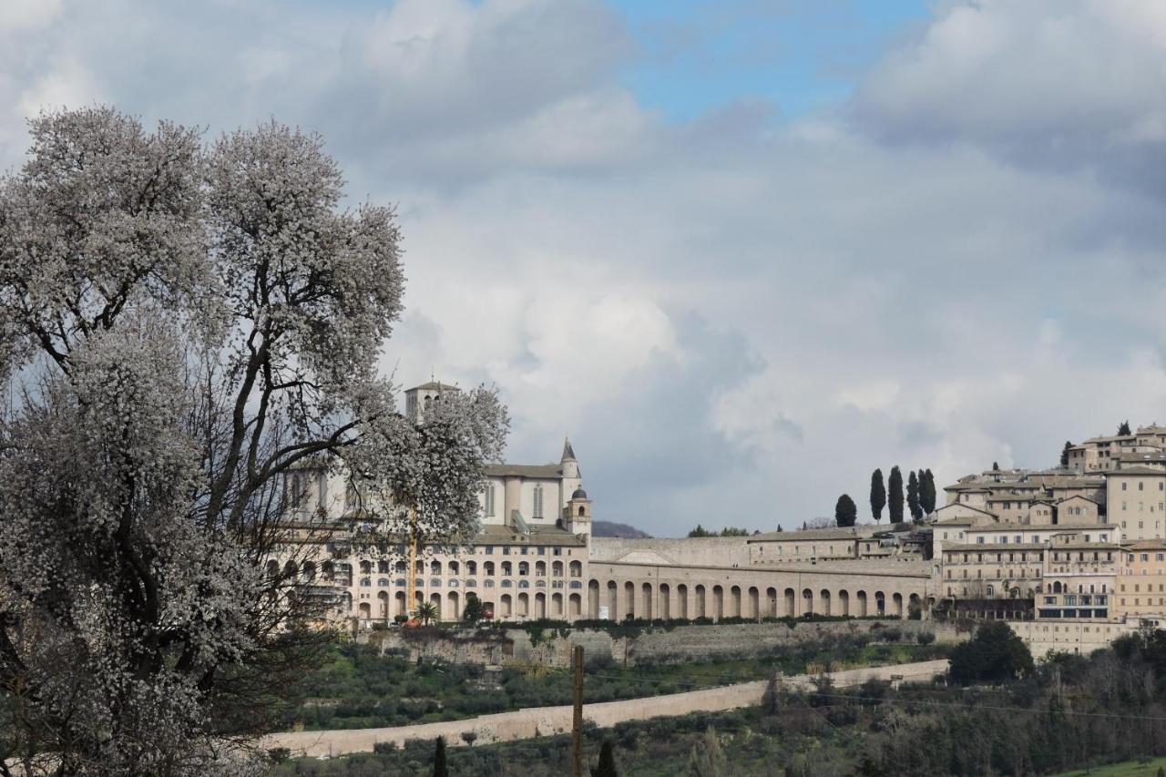 Bed and Breakfast Da Franca Assisi Exteriér fotografie